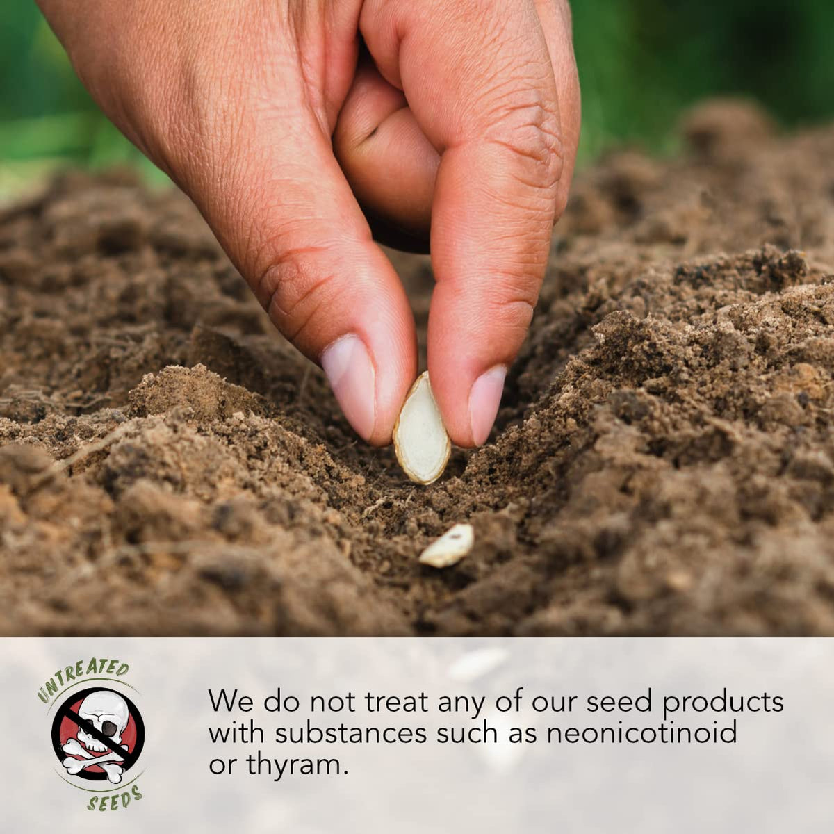 Seed Needs fresh open-pollinated seeds designed for reliable germination