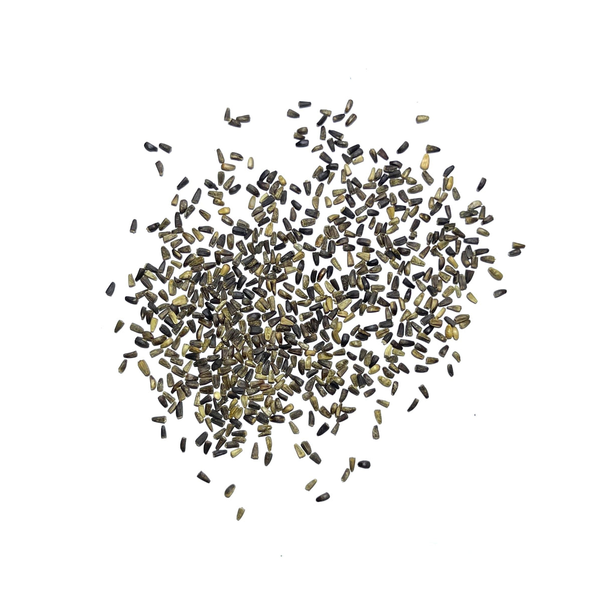 Seed Needs Garnet Stem Dandelion roots roasted as a chicory substitute.