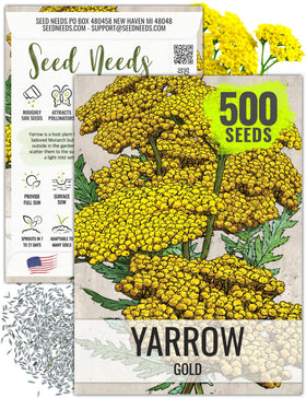 Seed Needs Gold Yarrow blooms close-up for sunny borders and pollinator appeal.
