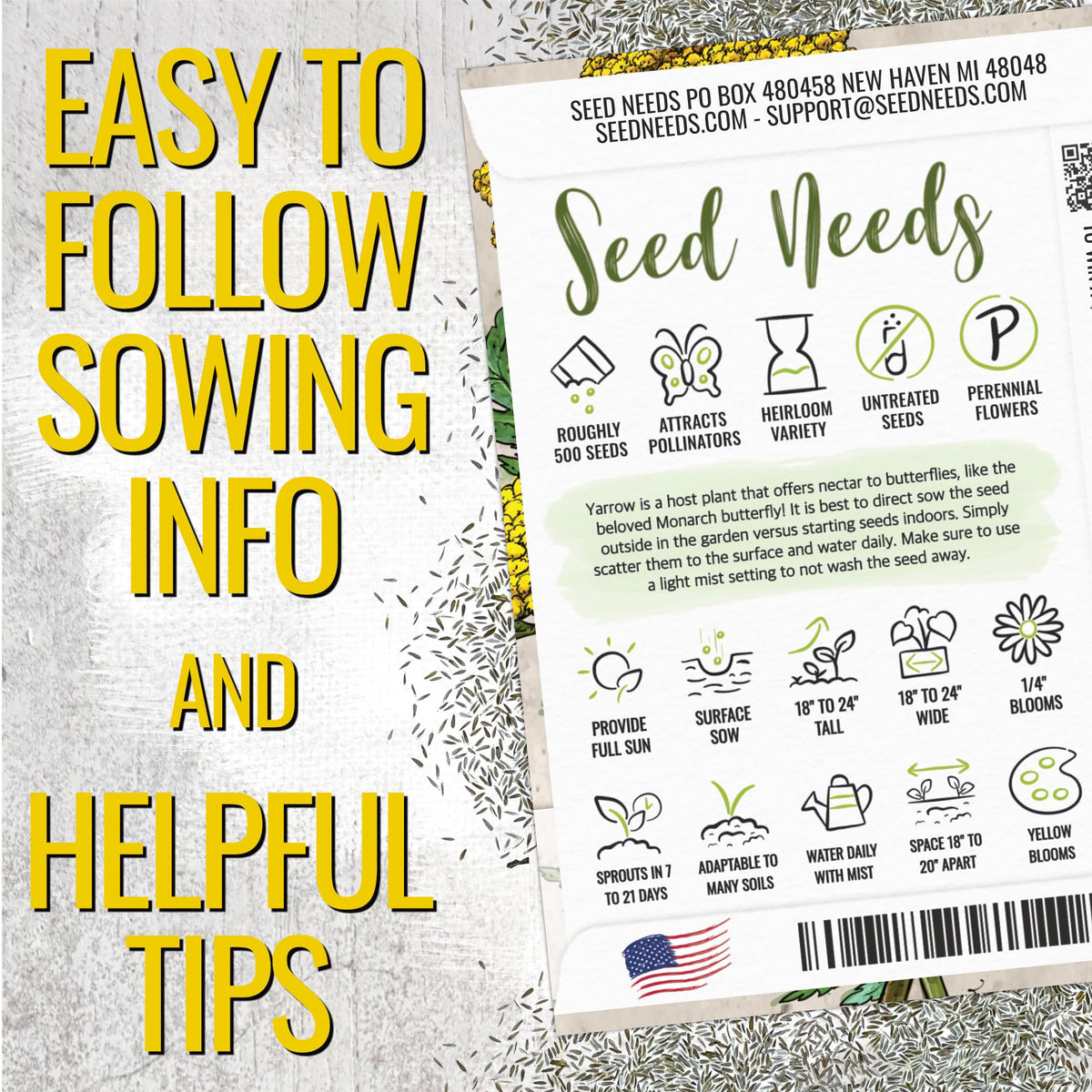 Seed Needs Gold Yarrow fern-like foliage accents drought-tolerant garden borders.