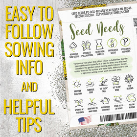 Seed Needs Gold Yarrow fern-like foliage accents drought-tolerant garden borders.
