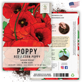 Seed Needs seed packets include sowing info and artful illustrations.