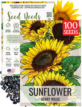 Seed Needs Henry Wilde sunflower bloom, bright petals attract pollinators