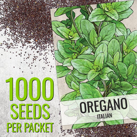 Seed Needs herb garden indoors outdoors setup image for versatile year-round herb growing.