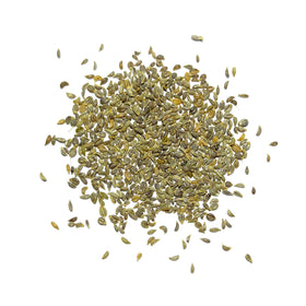 Seed Needs parsley greens growing in garden bed for fresh, versatile herbs.