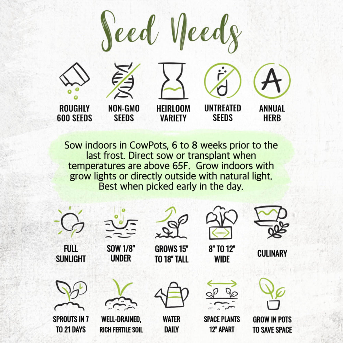 Seed Needs open-pollinated, heritage seed packet for flavorful herbs.