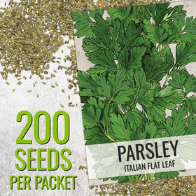 Seed Needs parsley seed packet back with sowing details to help confident germination.