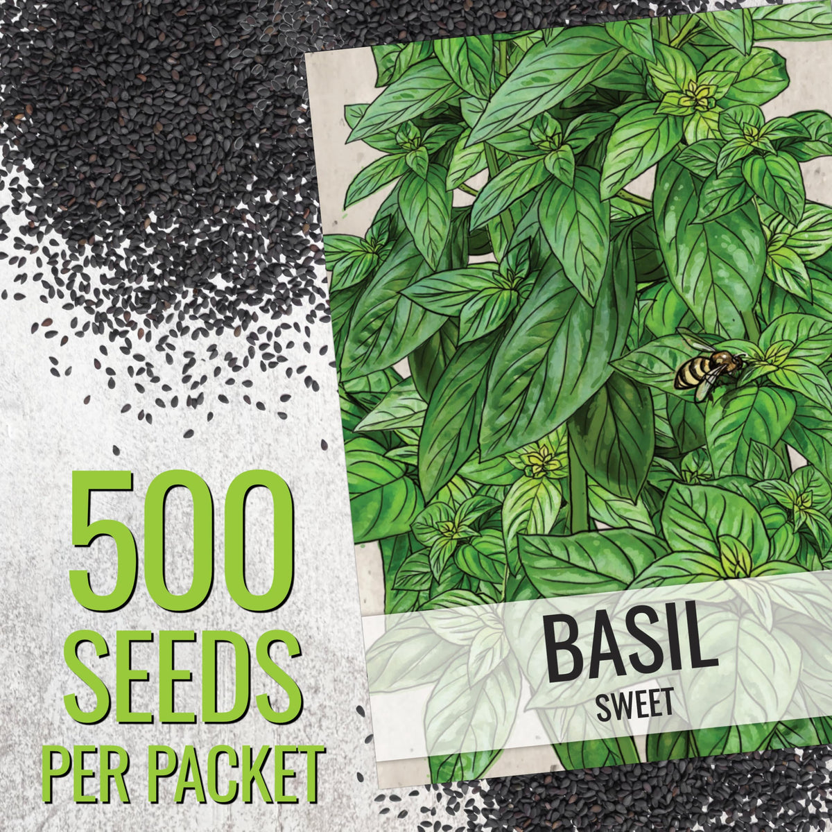 Seed Needs Italian oregano seeds packet with oregano leaf close-up for flavorful sauces.