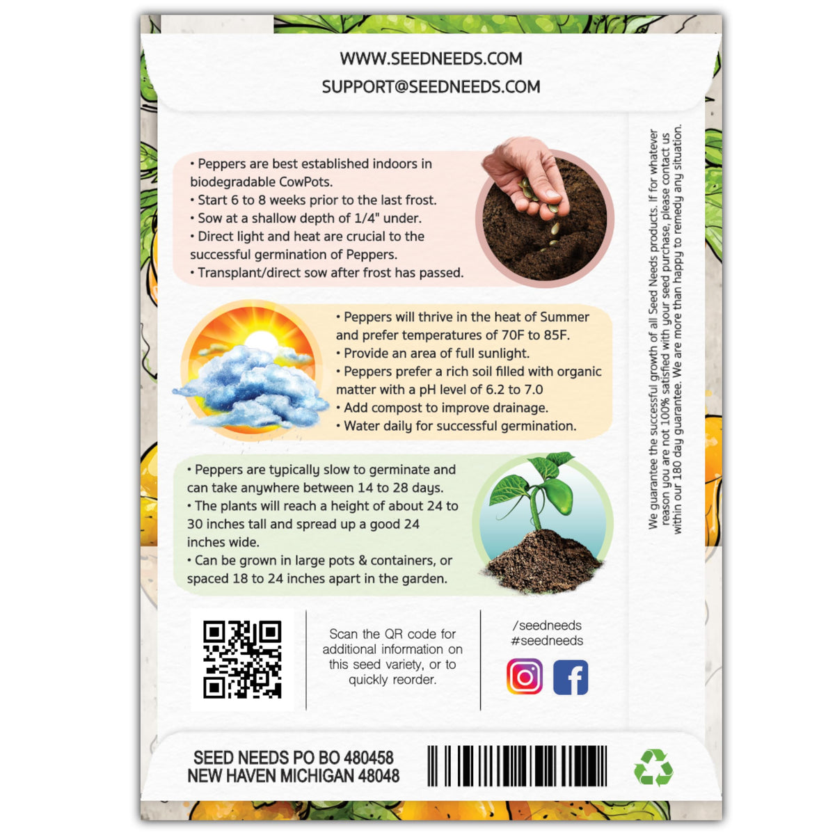 Seed Needs Jamaican Yellow Pepper seedling in soil ready for warm planting.