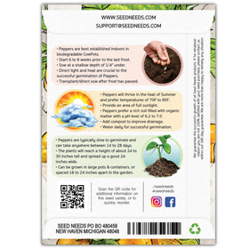 Seed Needs Jamaican Yellow Pepper seedling in soil ready for warm planting.