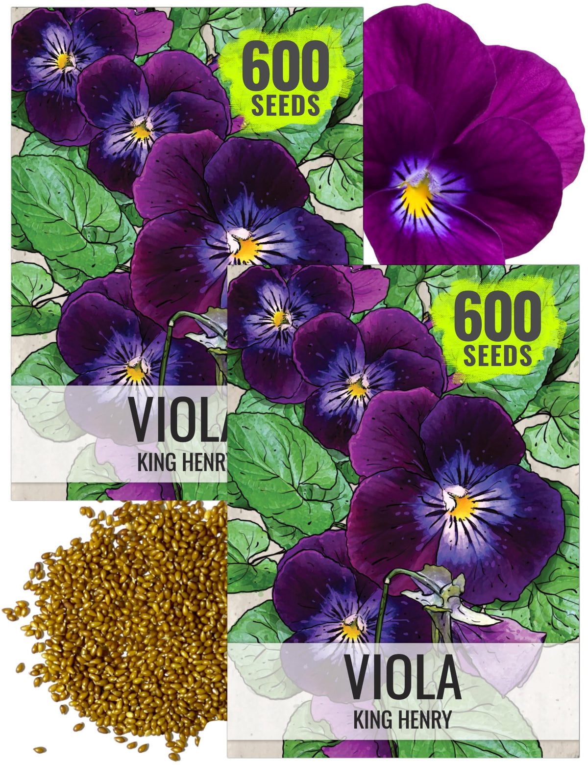 Seed Needs King Henry Viola flower close-up shows deep purple petals with a yellow center for dramatic borders.