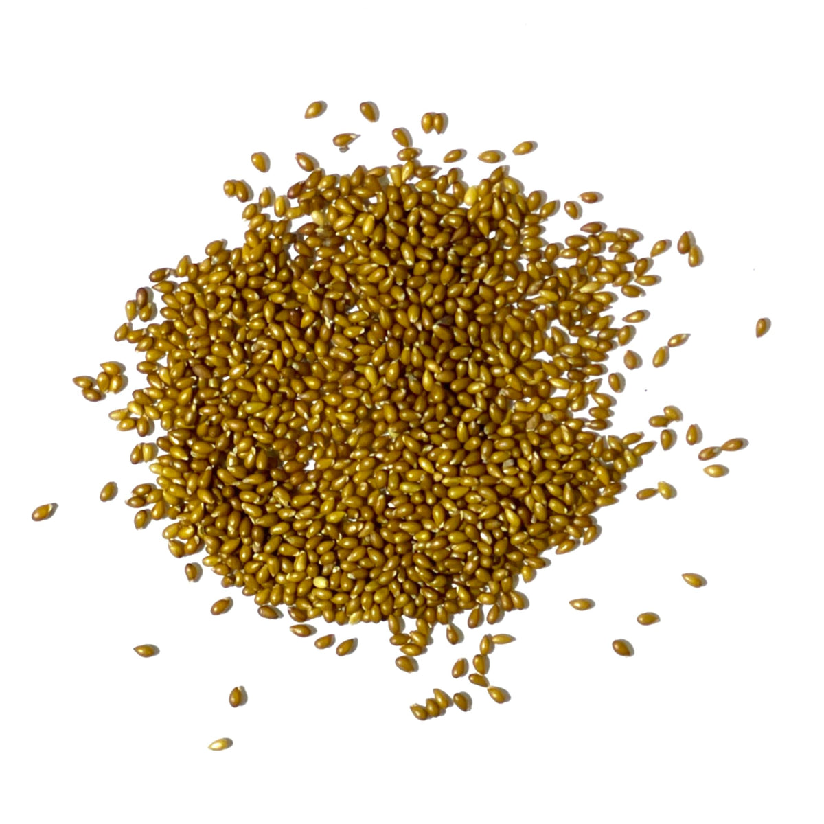 Seed Needs King Henry Viola attracts pollinators such as bees and butterflies.