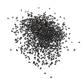 Seed Needs Hidcote lavender attracts bees for a pollinator-friendly garden.