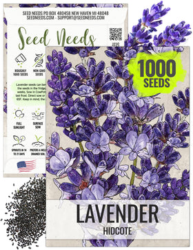 Seed Needs Hidcote lavender seeds packaging, ideal for easy spring sowing.
