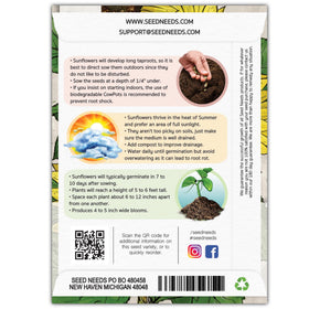 Seed Needs Lemon Queen bloom-closeup highlights bright petals for cheerful garden accents.