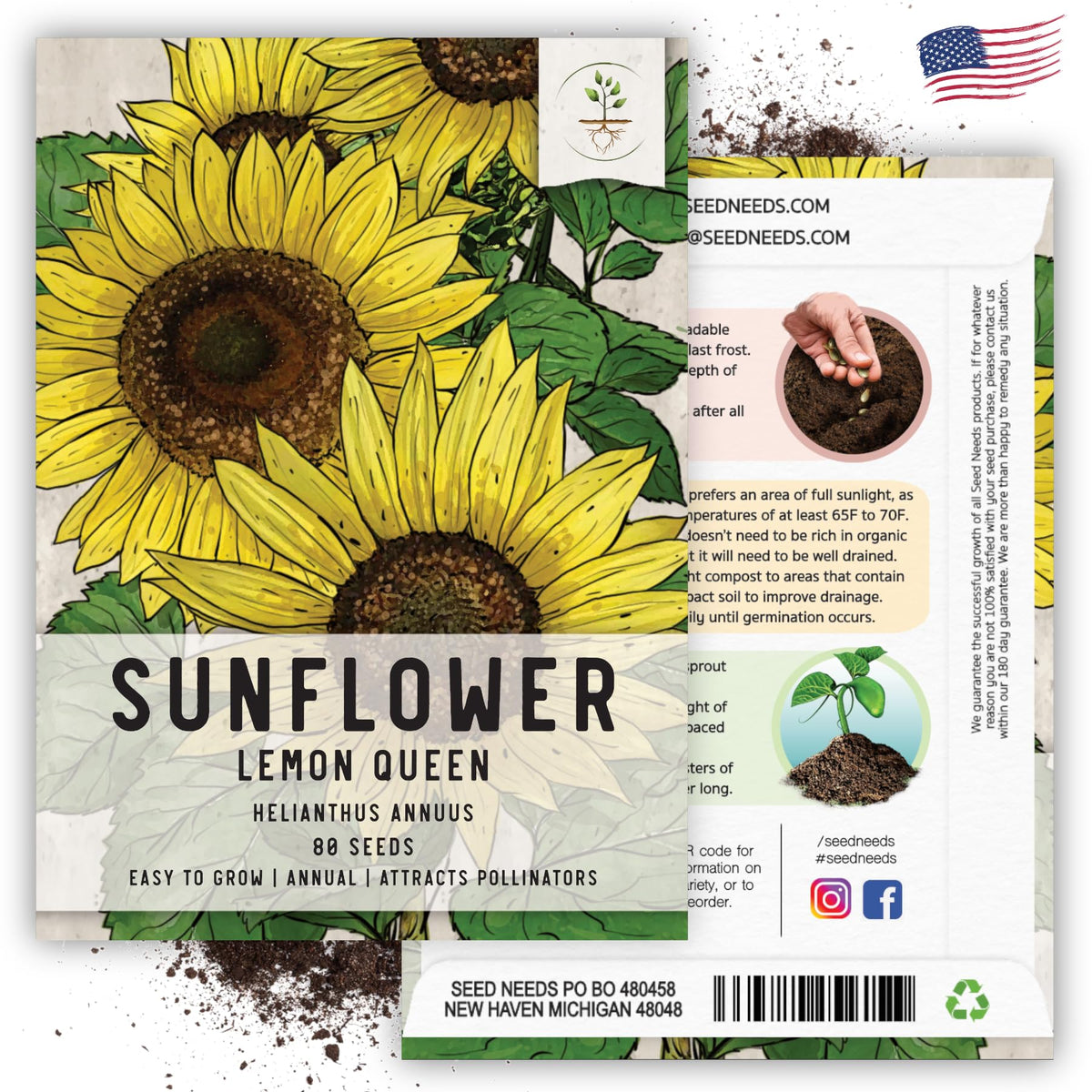 Seed Needs Lemon Queen tall-plant-stature showcases dramatic height for backdrops.