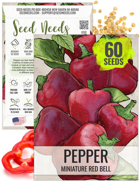 Seed Needs mini bell pepper seed packet ready for easy home sowing in containers.