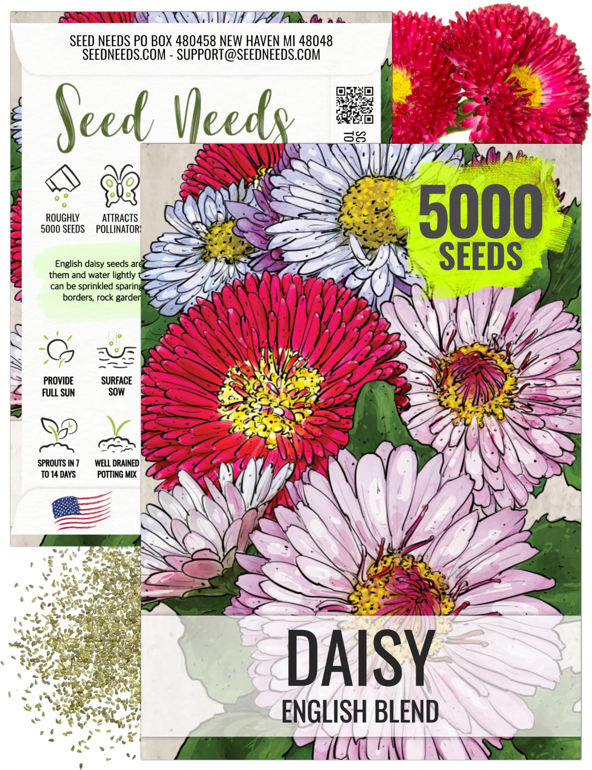 Seed Needs Mixed English Daisy Seeds pack showing open-pollinated blooms