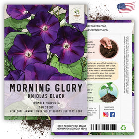 Seed Needs moisture-resistant packaging helps keep seeds fresh for future plantings.