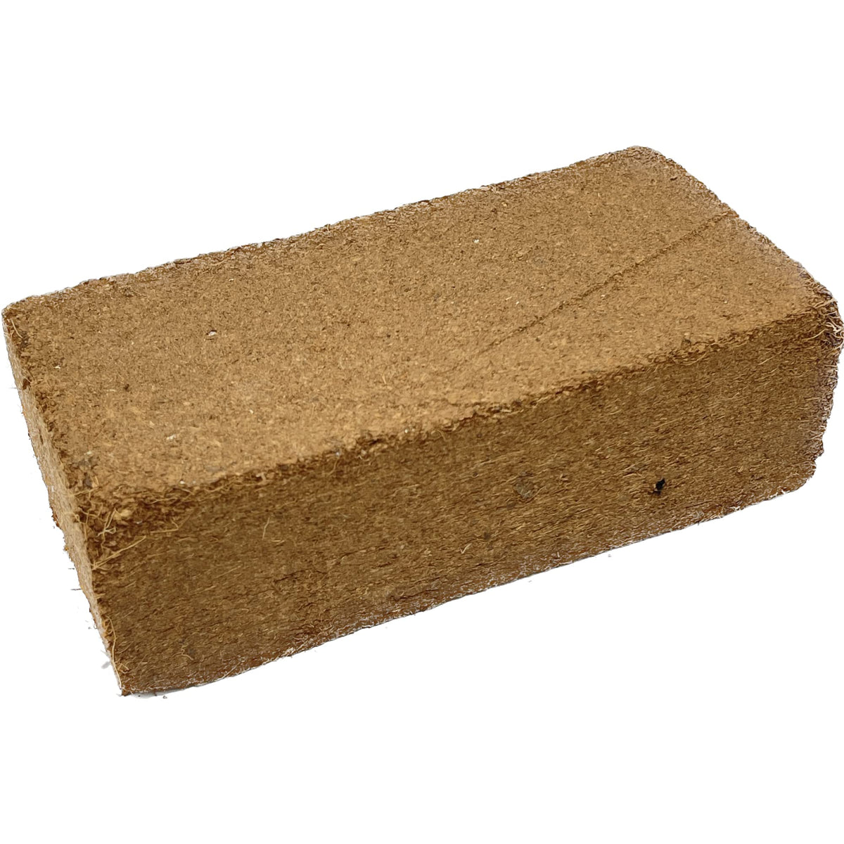 Seed Needs moisture-resistant packaging preserves seed freshness for future seasons.