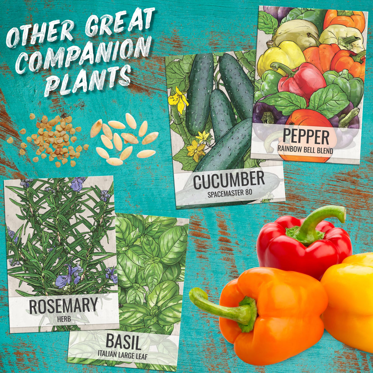 Seed Needs moisture-resistant packaging preserves seed viability for storage.