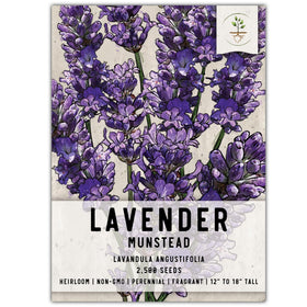 Seed Needs Munstead lavender seeds pack ready for planting in home gardens