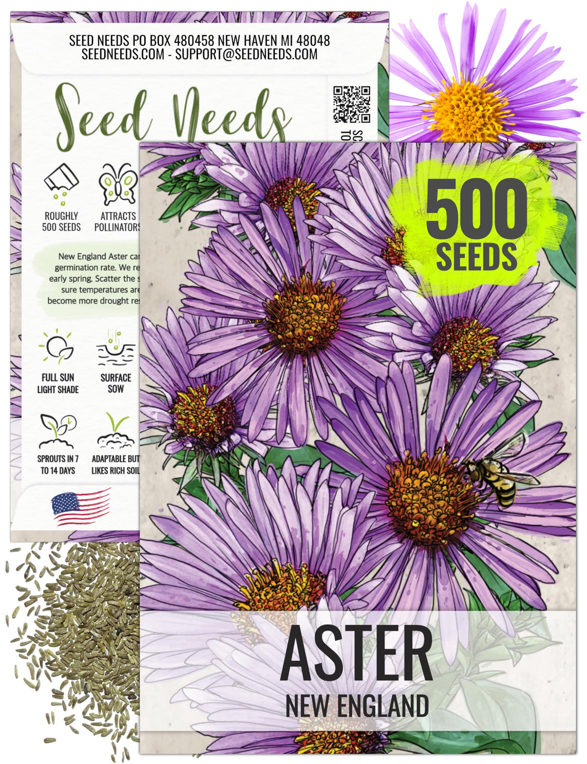 Seed Needs New England Aster seeds packaging shows sowing information for gardeners.