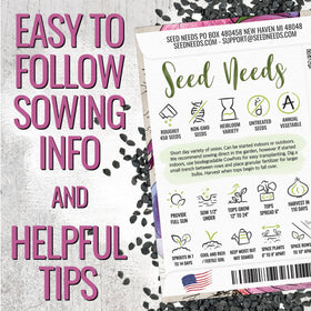 Seed Needs onion green plants grown in neat garden rows.