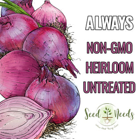 Seed Needs seed-packaging close-up emphasizes freshness and viability.