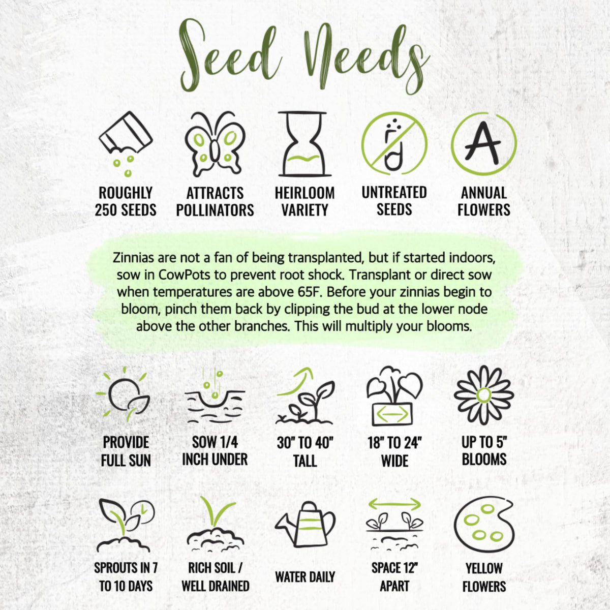 Seed Needs open-pollinated heirloom seeds offer authentic garden color.