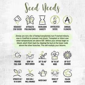 Seed Needs open-pollinated heirloom seeds offer authentic garden color.