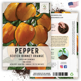 Seed Needs orange Scotch Bonnet peppers in vibrant harvest ready display.