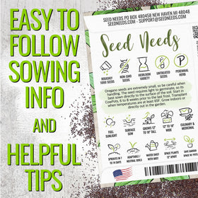 Seed Needs oregano stem close-up for bold flavor in simmered sauces.
