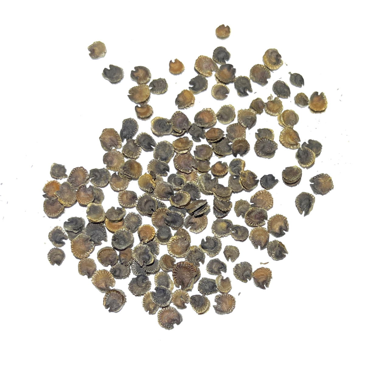 Seed Needs packaging detail demonstrates freshness and moisture resistance