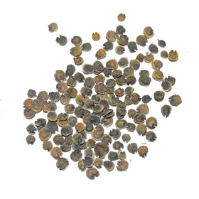 Seed Needs packaging detail demonstrates freshness and moisture resistance
