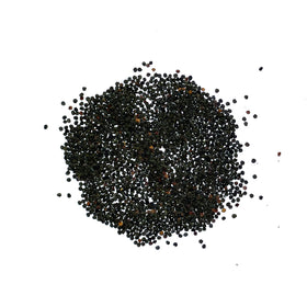 Seed Needs pink baby's breath garden in sunlit border for bright color.