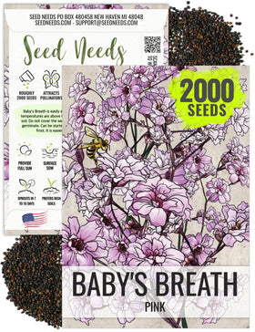 Seed Needs pink baby's breath seed pack front view for planning a pollinator garden.