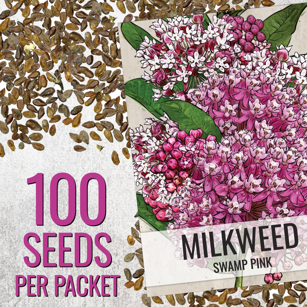 Seed Needs Pink Swamp Milkweed flowers cluster attracting pollinators.