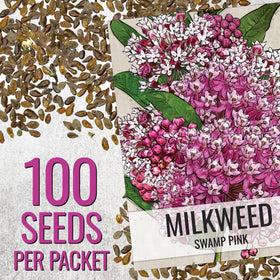 Seed Needs Pink Swamp Milkweed flowers cluster attracting pollinators.