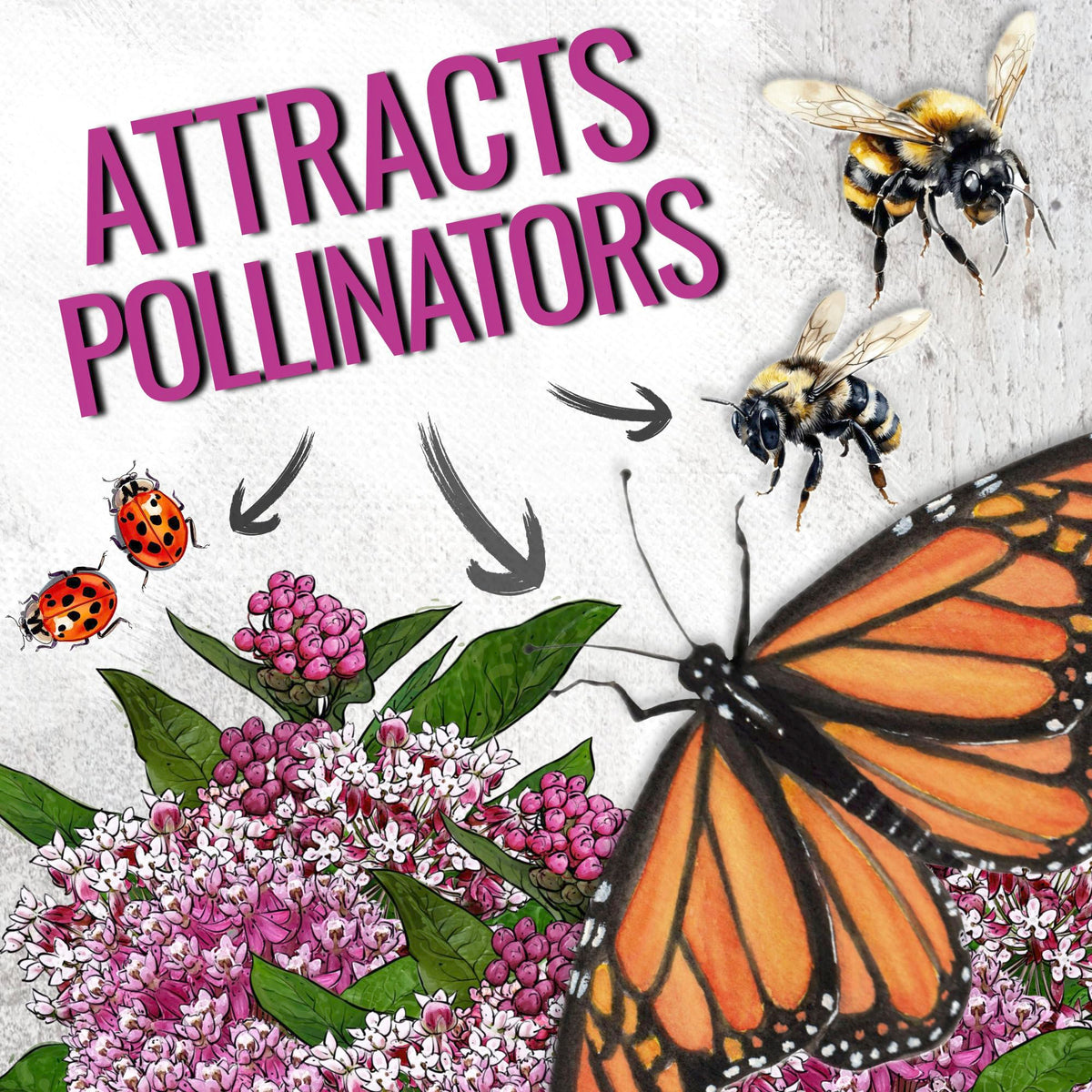 Seed Needs Pink Swamp Milkweed garden setup in a wetlands-friendly landscape.