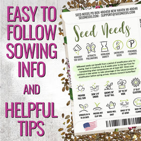 Seed Needs Pink Swamp Milkweed seeds closeup ready for germination.