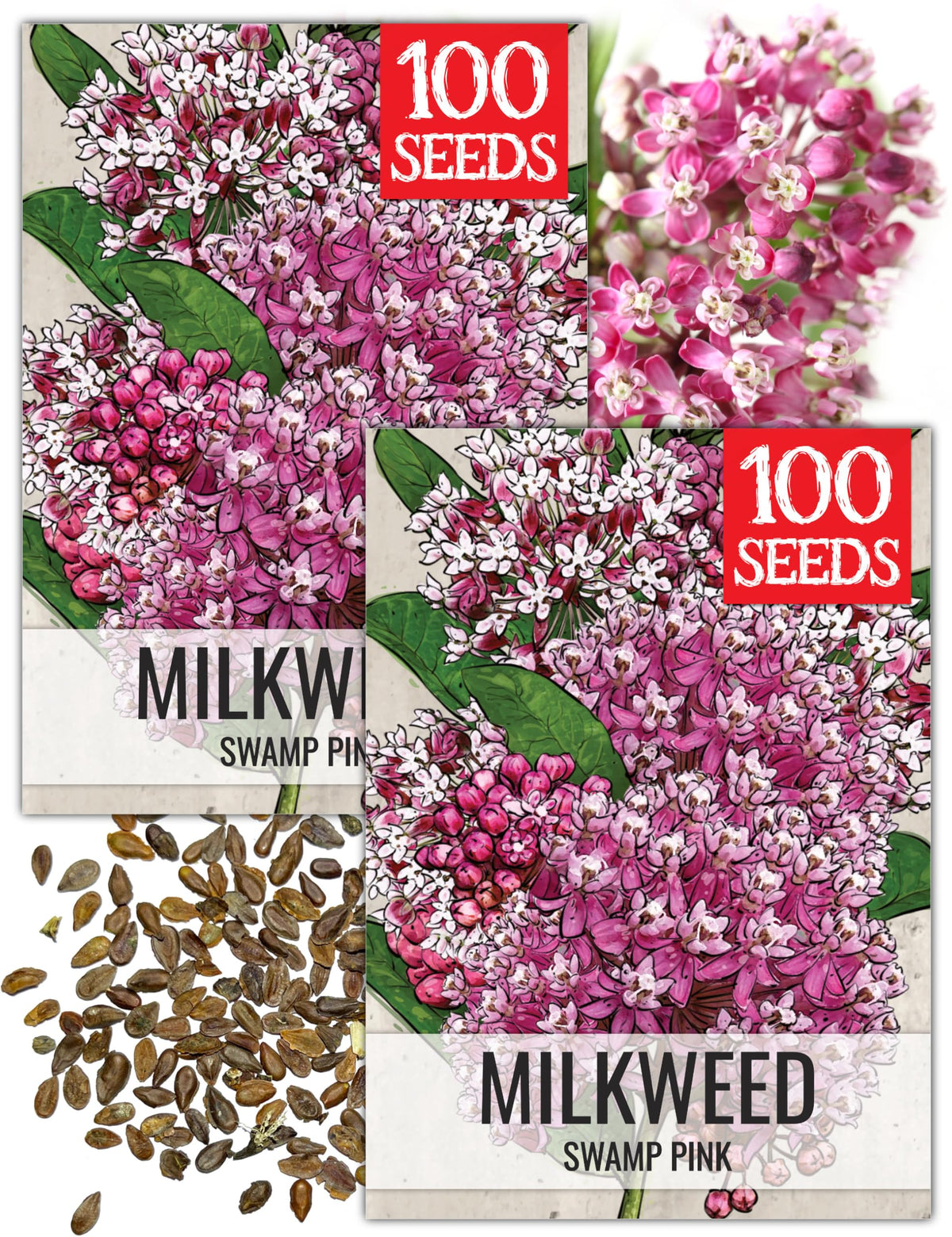Seed Needs Pink Swamp Milkweed seeds packet front for butterfly garden planning.