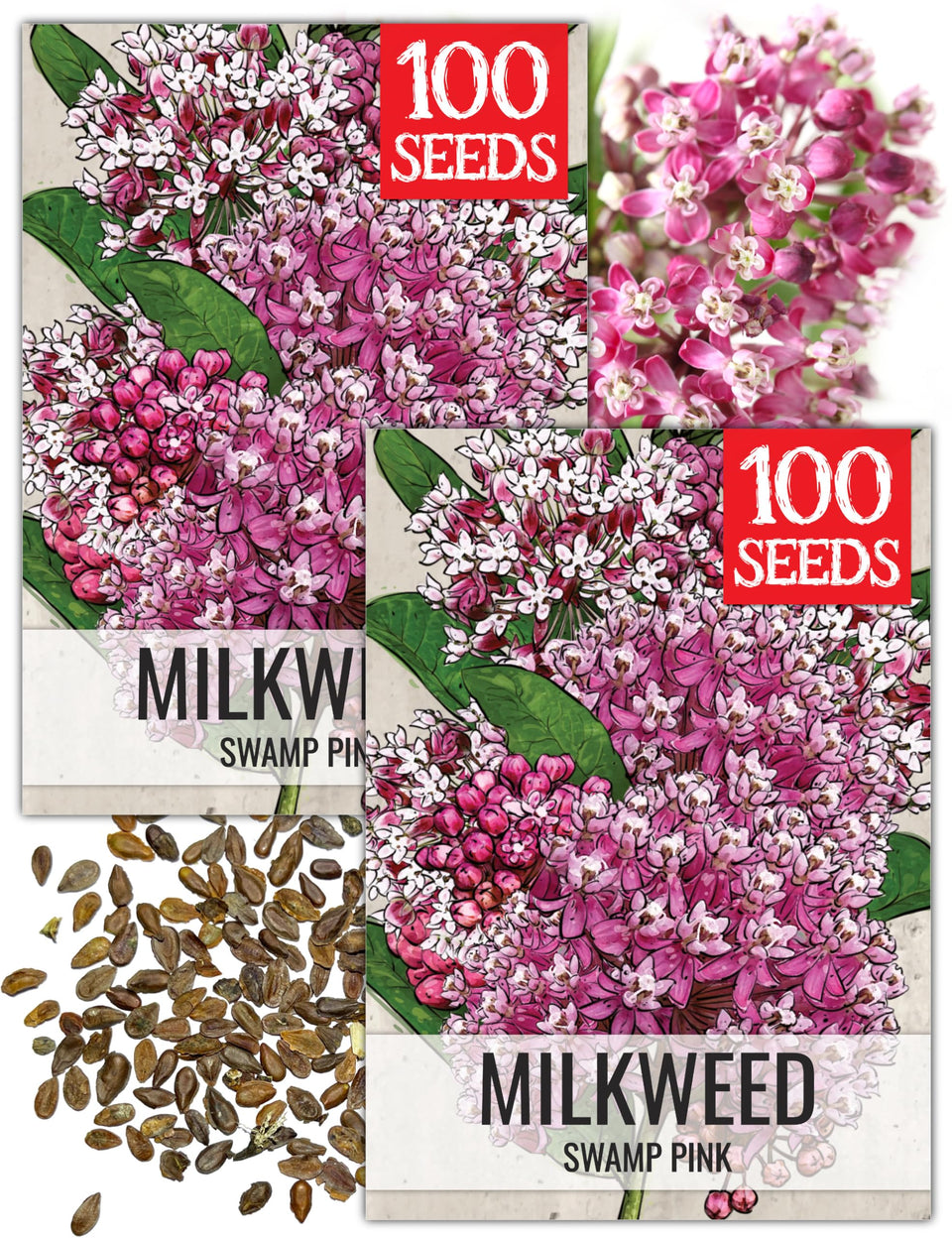Seed Needs Pink Swamp Milkweed seeds packet front for butterfly garden planning.