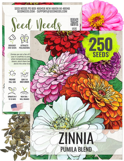 Seed Needs Pumila Zinnia in a sunny pot, ideal for small-space gardens.