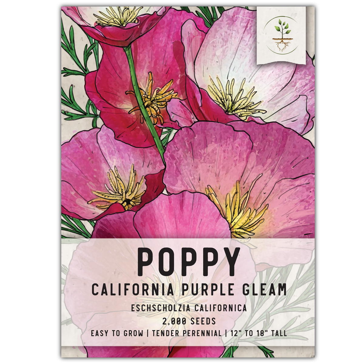 Seed Needs Purple Gleam poppy bloom in a sunny garden attracts pollinators.