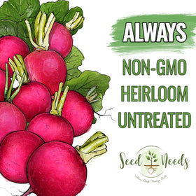 Seed Needs radish leaves in salad showing edible greens for fresh meals.