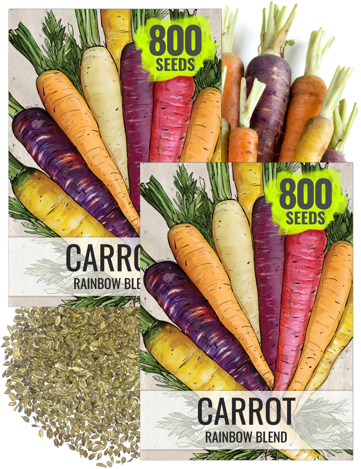 Seed Needs Rainbow Carrot Seeds pack ready for planting in spring or fall