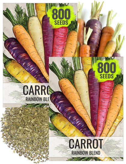Seed Needs Rainbow Carrot Seeds pack ready for planting in spring or fall