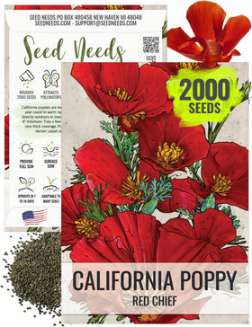 Seed Needs Red Chief California poppy flowers bloom in bright red-orange for sunny borders