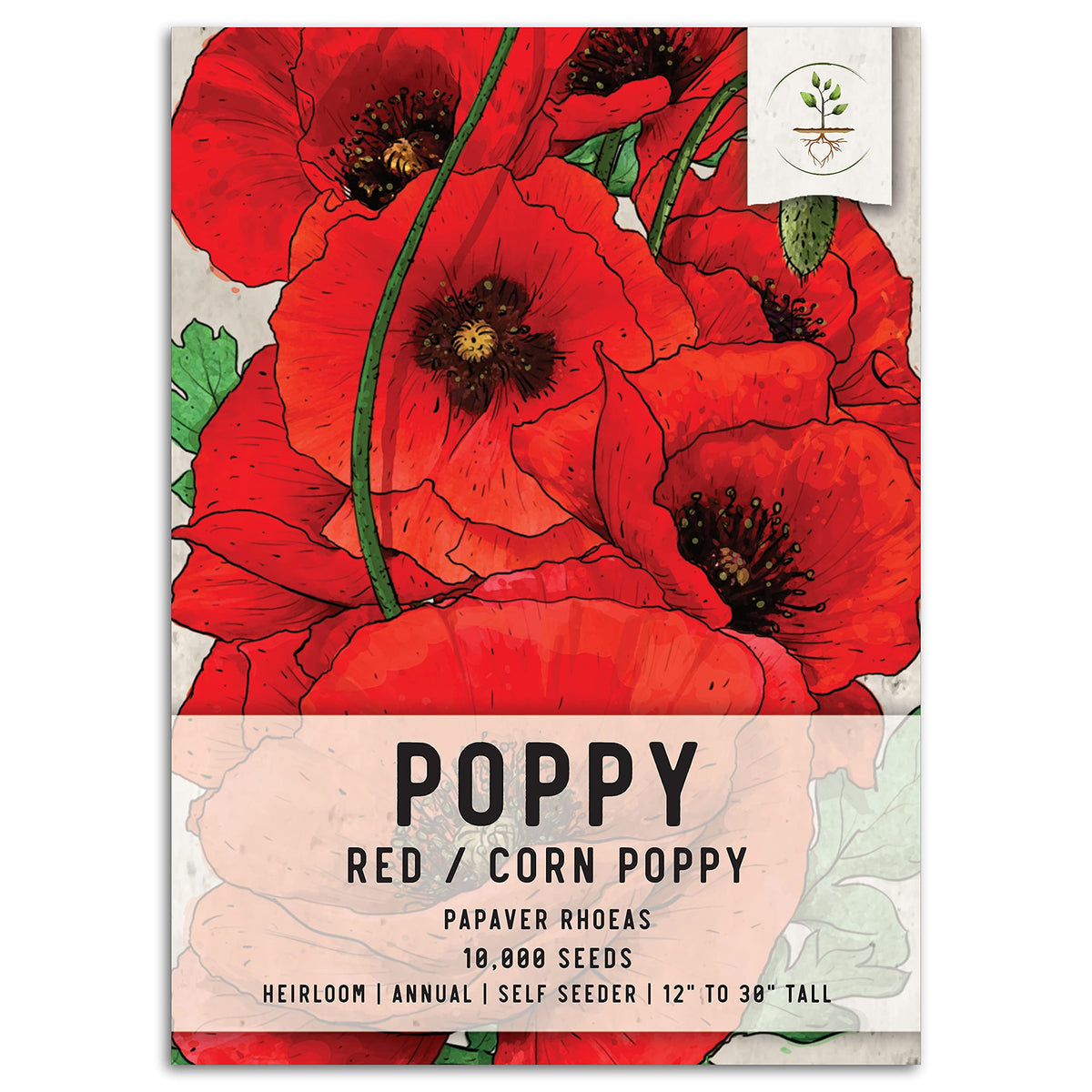 Seed Needs red poppy seeds offer vibrant blooms for a striking garden focal point.
